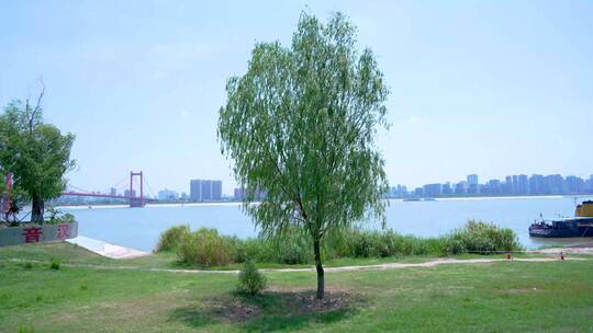 湖北武汉汉阳江滩公园风光4K视频合集