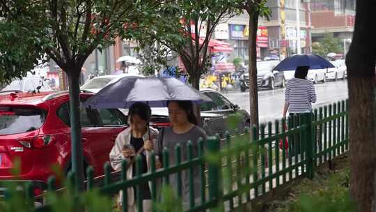 下雨季节树叶积水打伞行人