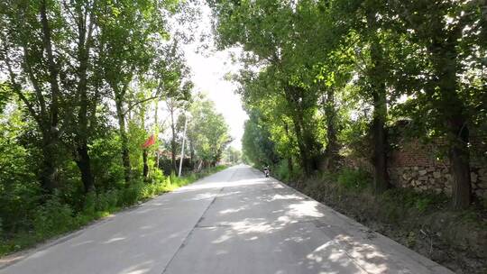 汽车第一视角公路沿途风景美丽公路