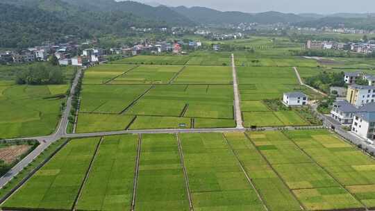 乡村田园俯瞰全景