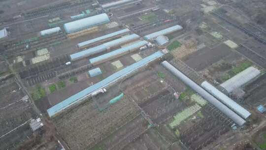 汇报篇蔬菜大棚