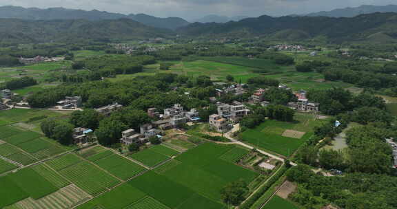 绿水青山就是金山银山