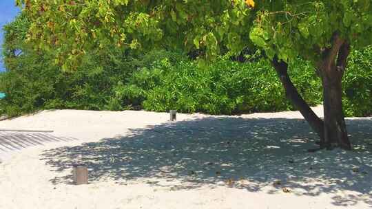 马尔代夫海边树荫与沙滩
