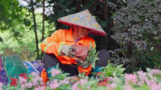 公园种植花朵