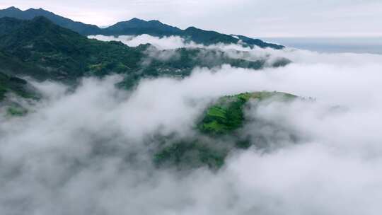 航拍森林云雾云海 秦岭山脉