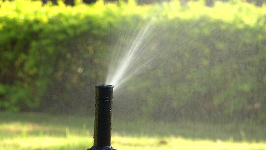 草地 浇水 浇灌 灌溉系统 喷水 绿化