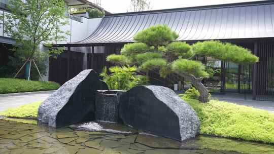 现代新中式传统建筑门口的景观树和水景
