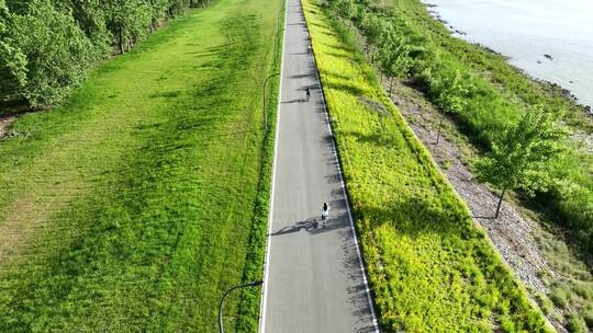 游客在南京江心洲环岛路上骑自行车运动休闲