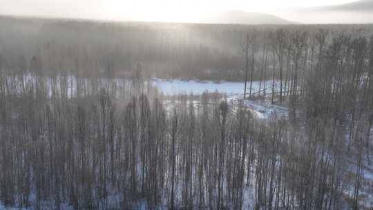 航拍冷空气笼罩的雪原树林