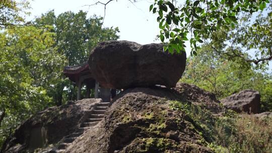 杭州宝石山景区寿星石