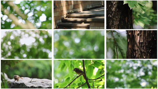 4K夏日小清新阳光光斑光影唯美空镜高清在线视频素材下载