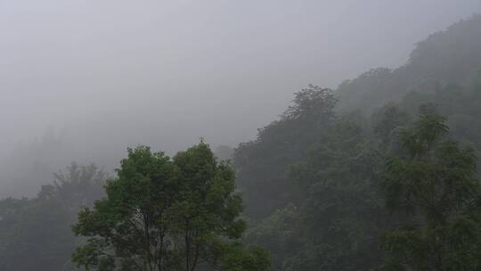 清晨山林山雾朦胧