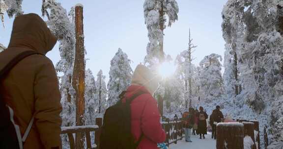 高清实拍瓦屋山冬天雪景雪山森林