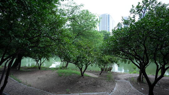 武汉历史名园中山公园