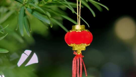 元宵 年 春节 烟花 过年 团年