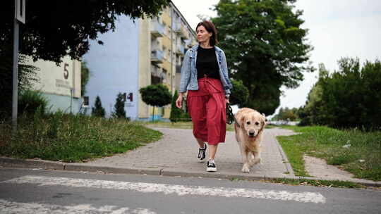 牵着狗的女人在人行横道上过马路