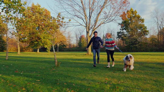 奔跑在草坪上的夫妇和狗