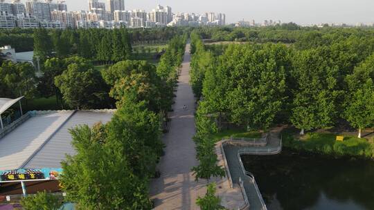 上海世纪公园4K航拍