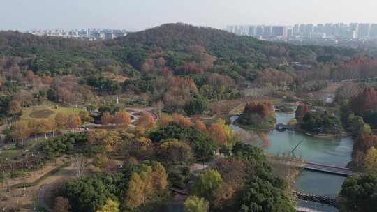 深秋的芜湖神山公园风光航拍素材