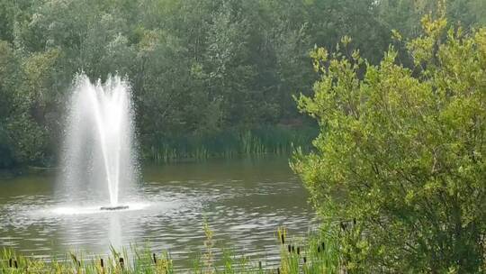 湖中喷泉喷射的特写镜头