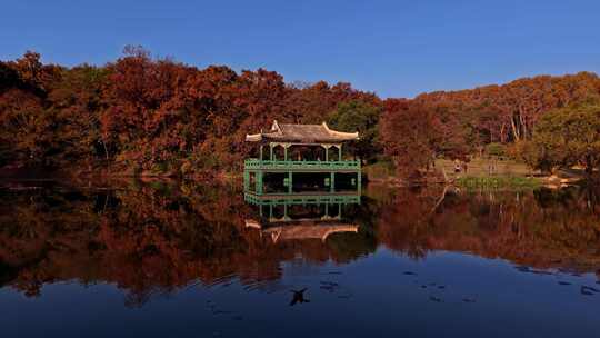 南京中山陵流徽榭秋景