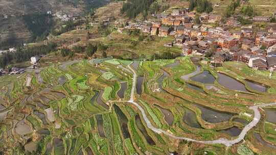 贵州黔东南自治州肇兴堂安梯田航拍风光