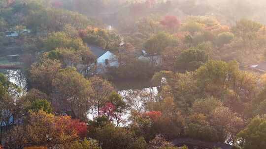 杭州秋天 西溪湿地 手摇船 湿地博物馆