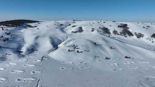 呼伦贝尔冬季雪原风光