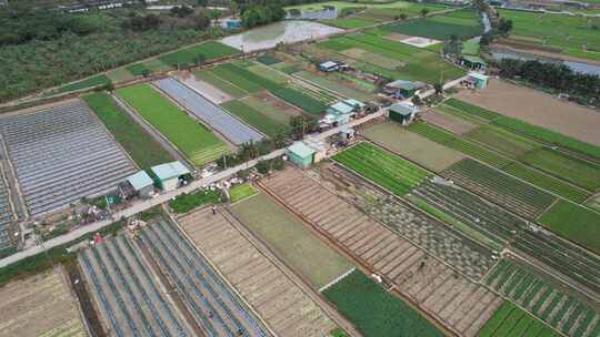 广东农业基地航拍