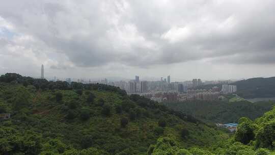 航拍树林