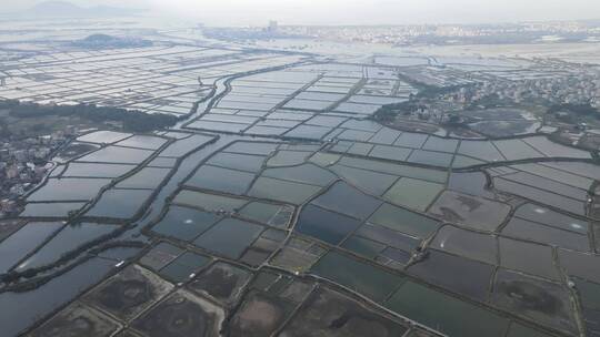 沿海渔业养殖视频素材模板下载