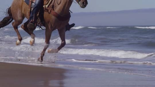 在海滩上骑马的人