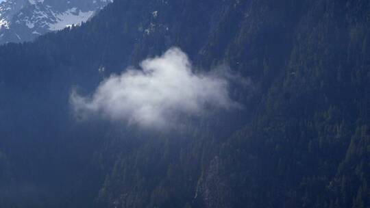瑞士雾中山景