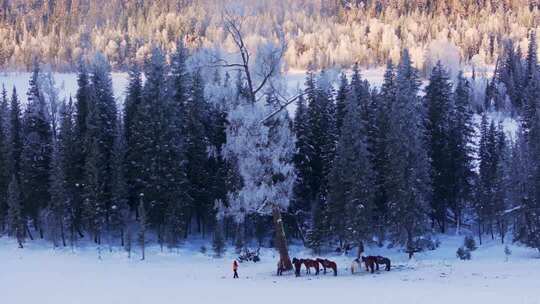 新疆阿勒泰地区喀纳斯景区雪景航拍