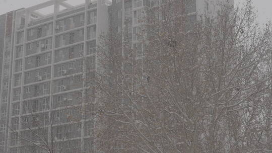 城市大雪出行 城市街道雪景