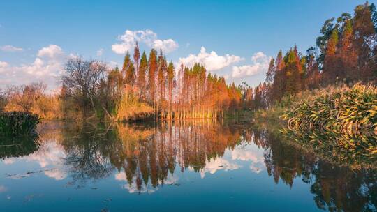 南滇池国家湿地公园日出