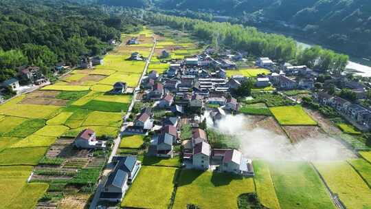 航拍秋收稻田乡村田园农田