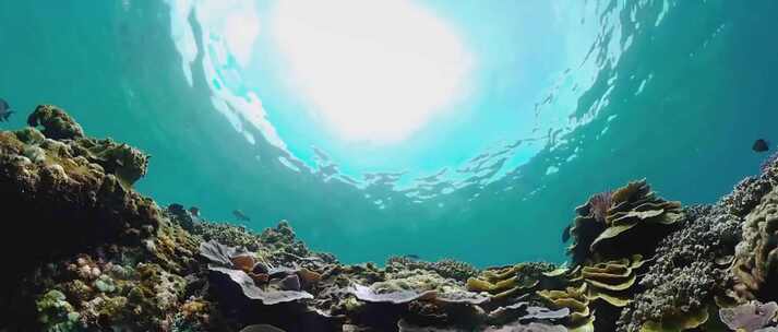 海底视角-海面波光粼粼