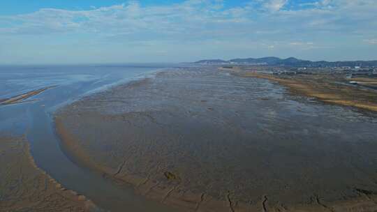 航拍福州闽江河口湿地公园视频素材模板下载