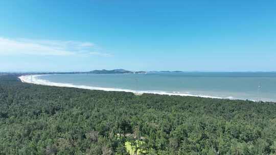 海岸线森林航拍海边森林大海树林海岸松树林