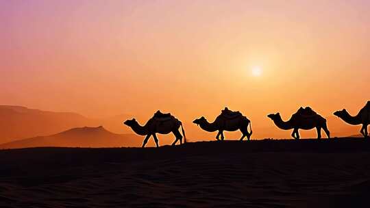 戈壁沙漠骆驼日落丝绸之路