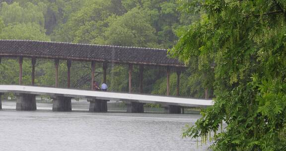 江南春天下雨杭州西湖泸晧湾空镜