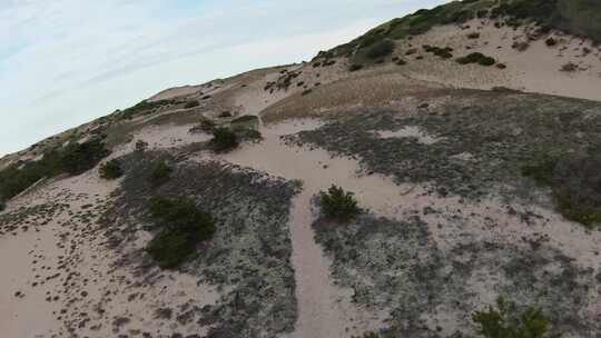 FPV特写镜头拍摄了绿色树叶和柔软白色沙丘的沙漠小径视频素材模板下载