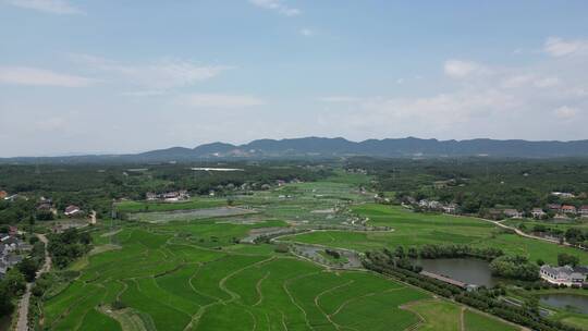 航拍一望无际绿色田园美丽乡村