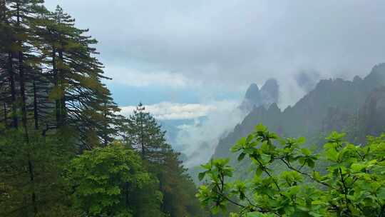 安徽黄山风景区雨后云海水墨风景区宣传片