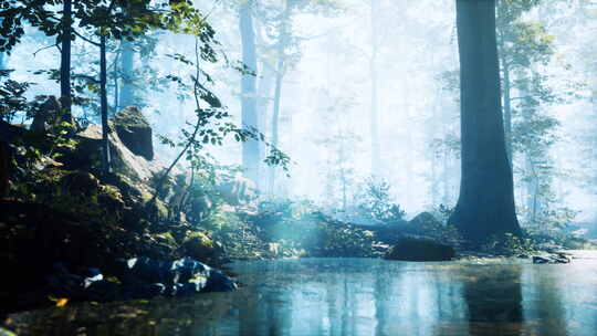 有池塘的森林和阳光的薄雾