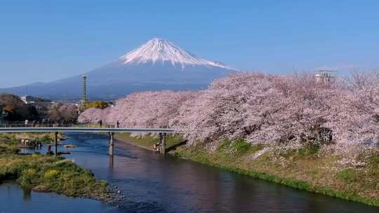 日本富士山和樱花的风景_HD