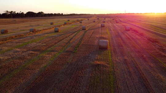 小麦收获后，许多包麦草扭曲成卷长长的阴影