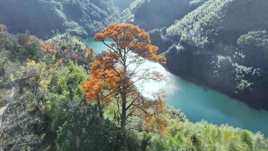 四明山秋天秋景秋色 茅镬公园