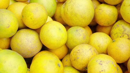 柑橘采摘农产品水果收购
